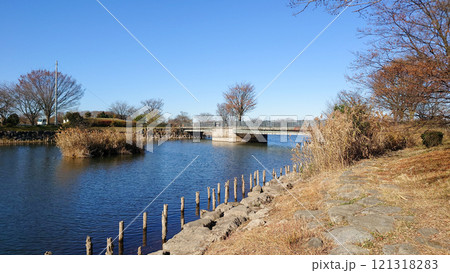 埼玉県白岡市の柴山沼公園 121318283