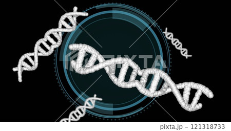 DNA strands and circular digital interface, scientific image 121318733