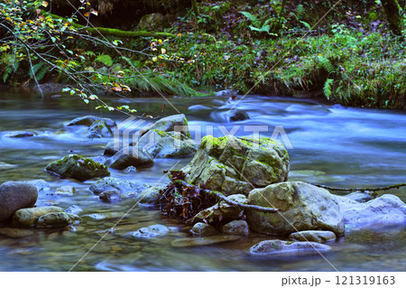 Moss-Covered Rocks in Bayones River, Ucieda, Cabuerniga Valley, Cantabria 121319163