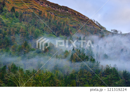 Misty forest landscape in the Cabuerniga Valley, Cantabria, Spain. Misty forest landscape in the Cabuerniga Valley, Cantabria, Spain. 121319224