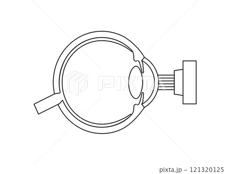 LASIK eye surgery 121320125