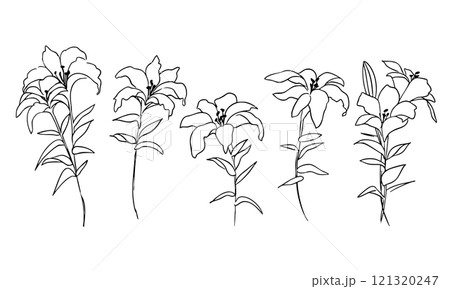 線画の草木イラスト。草木と花のベクター線画シンプルテンプレート。 線画の草木イラスト。草木と花のベクター線画シンプルテンプレート。 121320247