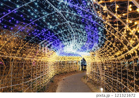 冬のイルミネーションShibata Fantasy Illumination2024　宮城県柴田町 121321672