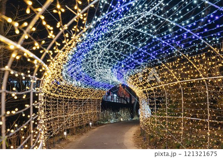 冬のイルミネーションShibata Fantasy Illumination2024 宮城県柴田町 冬のイルミネーションShibata Fantasy Illumination2024 宮城県柴田町 121321675