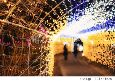 冬のイルミネーションShibata Fantasy Illumination2024 宮城県柴田町 冬のイルミネーションShibata Fantasy Illumination2024 宮城県柴田町 121321680