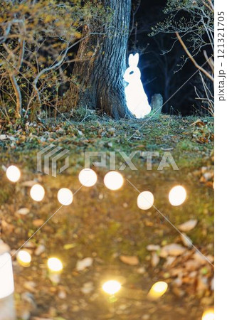 冬のイルミネーションShibata Fantasy Illumination2024　宮城県柴田町 121321705