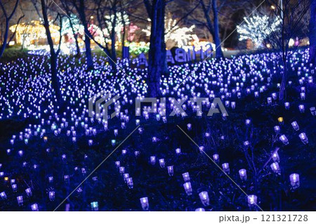 冬のイルミネーションShibata Fantasy Illumination2024 宮城県柴田町 冬のイルミネーションShibata Fantasy Illumination2024 宮城県柴田町 121321728