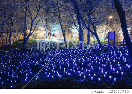 冬のイルミネーションShibata Fantasy Illumination2024 宮城県柴田町 冬のイルミネーションShibata Fantasy Illumination2024 宮城県柴田町 121321730