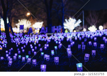 冬のイルミネーションShibata Fantasy Illumination2024 宮城県柴田町 冬のイルミネーションShibata Fantasy Illumination2024 宮城県柴田町 121321733