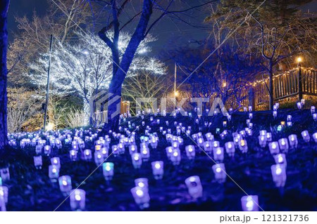 冬のイルミネーションShibata Fantasy Illumination2024　宮城県柴田町 121321736