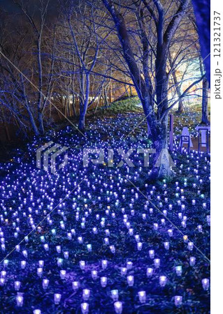 冬のイルミネーションShibata Fantasy Illumination2024　宮城県柴田町 121321737