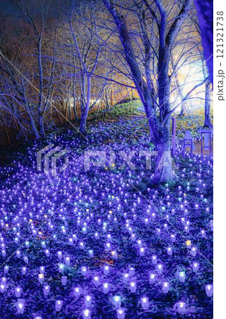 冬のイルミネーションShibata Fantasy Illumination2024　宮城県柴田町 121321738