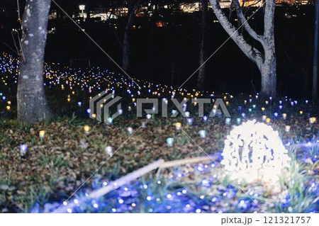 冬のイルミネーションShibata Fantasy Illumination2024　宮城県柴田町 121321757