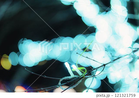 冬のイルミネーションShibata Fantasy Illumination2024 宮城県柴田町 冬のイルミネーションShibata Fantasy Illumination2024 宮城県柴田町 121321759