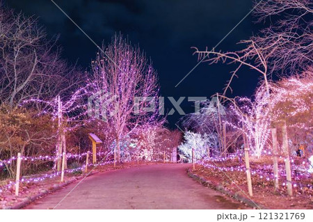 冬のイルミネーションShibata Fantasy Illumination2024　宮城県柴田町 121321769