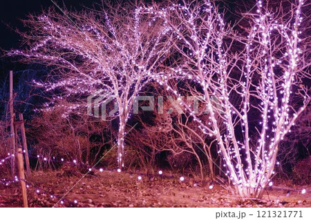 冬のイルミネーションShibata Fantasy Illumination2024　宮城県柴田町 121321771