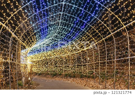 冬のイルミネーションShibata Fantasy Illumination2024　宮城県柴田町 121321774