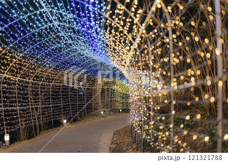 冬のイルミネーションShibata Fantasy Illumination2024 宮城県柴田町 冬のイルミネーションShibata Fantasy Illumination2024 宮城県柴田町 121321788