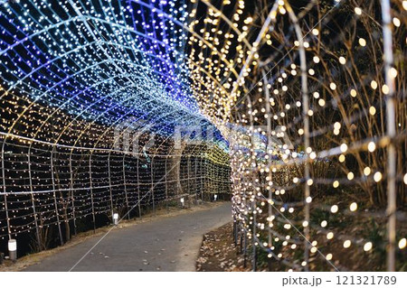 冬のイルミネーションShibata Fantasy Illumination2024　宮城県柴田町 121321789