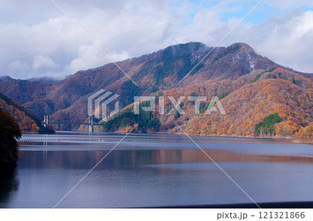 初冬の徳山ダムの紅葉 121321866