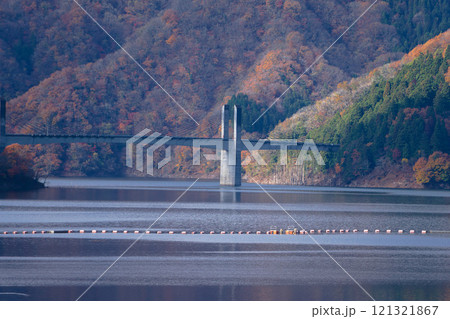 初冬の徳山ダムの紅葉 初冬の徳山ダムの紅葉 121321867