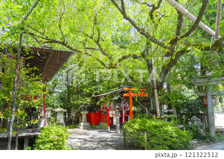 新緑に包まれた水火天満宮 121322512