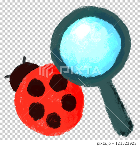 クレヨンタッチ 昆虫観察 てんとう虫 クレヨンタッチ 昆虫観察 てんとう虫 121322925