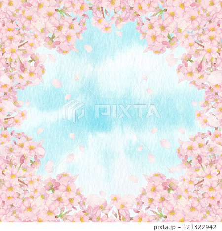 手描きの水彩画：正方形＿爽やかな青空と桜の背景　枝と蕾付き 121322942