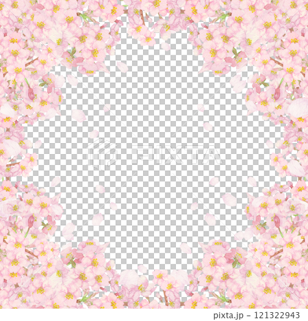 手描きの水彩画：正方形＿桜の花吹雪背景　切り抜き　枝と蕾付き 121322943