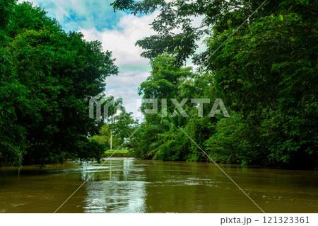 Landscape of beautiful channel, Refugio de Vida Silvestre Cano Negro, Costa Rica wilderness landscape. 121323361