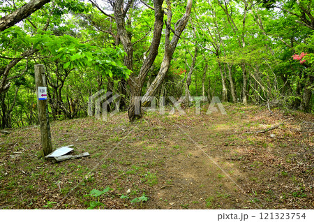 御坂山地の不逢山山頂　森の中の頂 121323754