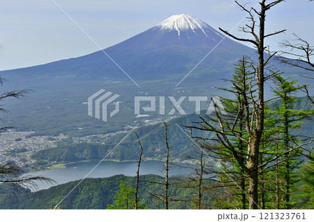 御坂山地の中藤山の森より春の富士山を望む 御坂山地の中藤山の森より春の富士山を望む 121323761