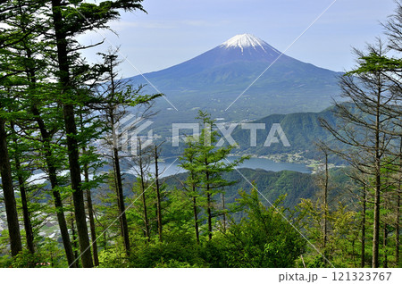 春の御坂山地 中藤山山頂より望む富士山と河口湖 春の御坂山地 中藤山山頂より望む富士山と河口湖 121323767