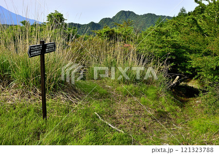 御坂山地の大石峠より十二ヶ岳を望むと共に大石坂の道 121323788