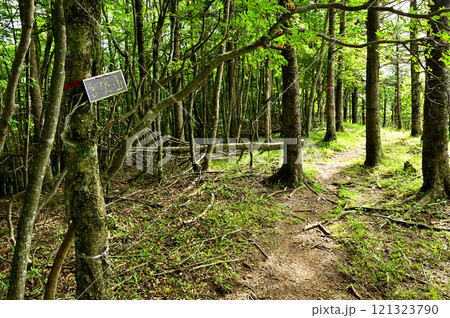 御坂山地　金堀山の山頂 121323790