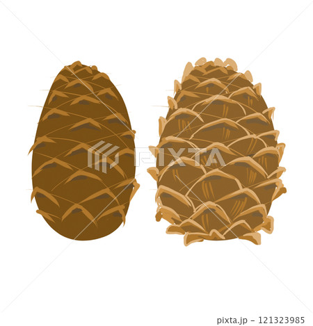Hand drawn coniferous pine, spruce cones set isolated on white background. Conifer with snow in winter nature outdoor for holiday background. Fir and pine trees for winter Christmas design Hand drawn coniferous pine, spruce cones set isolated on white background. Conifer with snow in winter nature outdoor for holiday background. Fir and pine trees for winter Christmas design 121323985