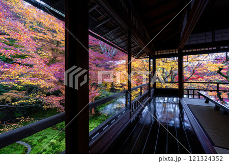 秋の瑠璃光院 秋の瑠璃光院 121324352