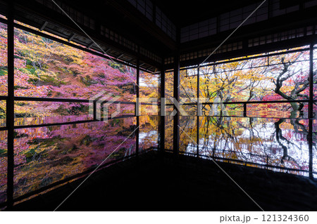 秋の瑠璃光院 121324360