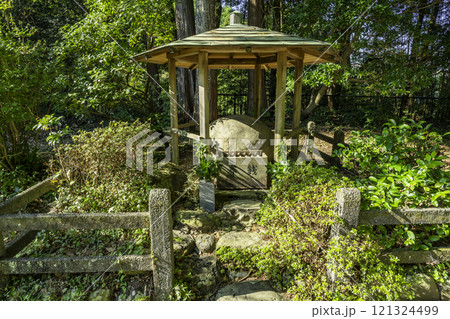 小夜の中山　夜泣石　静岡県掛川市 121324499