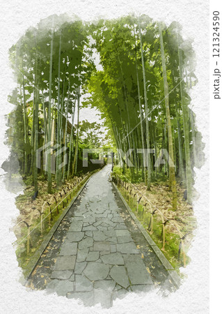 水彩画風 伊豆修善寺 竹林の小径 静岡県伊豆市のイラスト素材