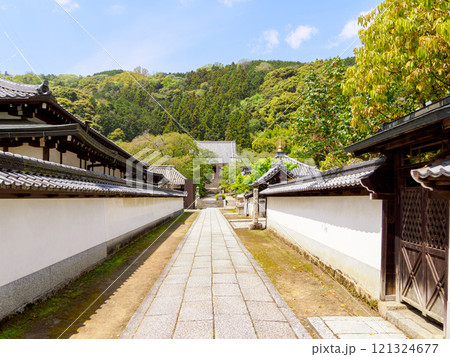 【奈良県】大和郡山市 矢田寺(金剛山寺) (2024/04/17撮影) 121324677