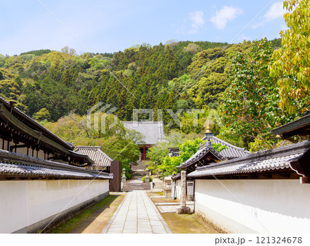 【奈良県】大和郡山市 矢田寺(金剛山寺) (2024/04/17撮影) 【奈良県】大和郡山市 矢田寺(金剛山寺) (2024/04/17撮影) 121324678