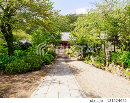 【奈良県】大和郡山市 矢田寺(金剛山寺) (2024/04/17撮影) 121324681