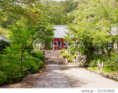 【奈良県】大和郡山市 矢田寺(金剛山寺) (2024/04/17撮影) 121324682