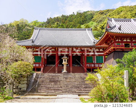 【奈良県】大和郡山市 矢田寺(金剛山寺) (2024/04/17撮影) 【奈良県】大和郡山市 矢田寺(金剛山寺) (2024/04/17撮影) 121324685