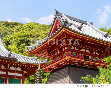 【奈良県】大和郡山市 矢田寺(金剛山寺) (2024/04/17撮影) 121324687