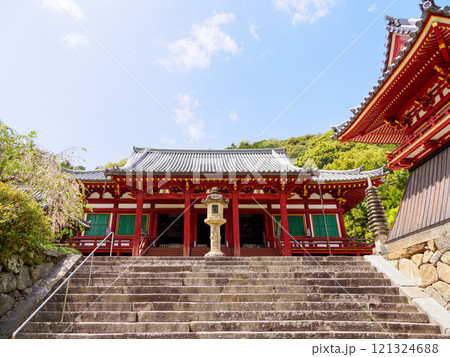 【奈良県】大和郡山市 矢田寺(金剛山寺) (2024/04/17撮影) 【奈良県】大和郡山市 矢田寺(金剛山寺) (2024/04/17撮影) 121324688