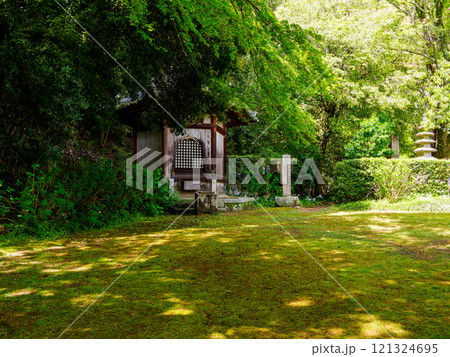 【奈良県】大和郡山市 矢田寺(金剛山寺) (2024/04/17撮影) 121324695