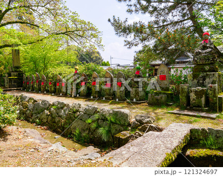 【奈良県】大和郡山市 矢田寺(金剛山寺) (2024/04/17撮影) 【奈良県】大和郡山市 矢田寺(金剛山寺) (2024/04/17撮影) 121324697