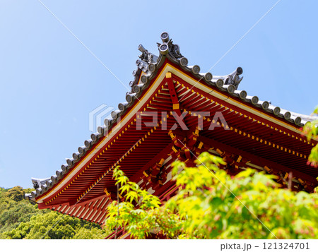 【奈良県】大和郡山市 矢田寺(金剛山寺) (2024/04/17撮影) 121324701